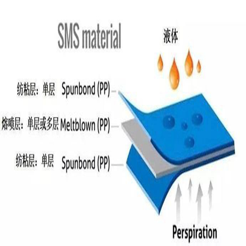 SMS structure showing