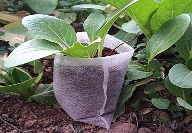 Anti-uv nonwoven for plants